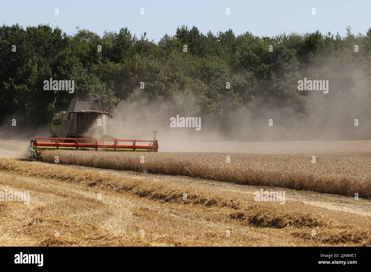 Crayke, UK. 13th Aug, 2022. UK Weather - Crayke, North Yorkshire, England, UK - August 13th 2022. Farmers using Combine Harvesters in the current extreme heat and dust Credit: credit: Matt Pennington / PennPix/Alamy Live News Stock Photo