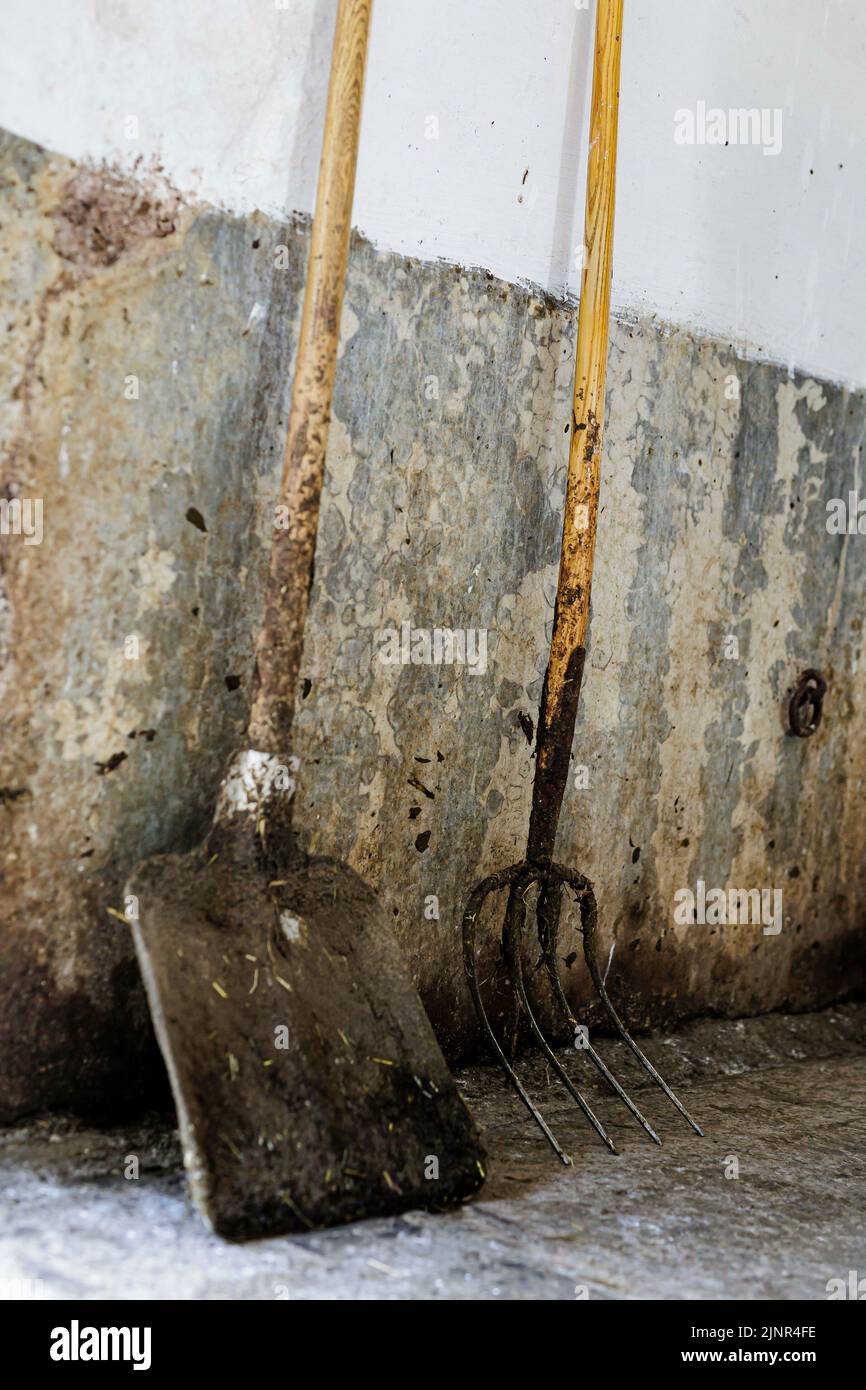 Shovel pitchfork shovel pitchfork feature symbolfoto symbolbil hires