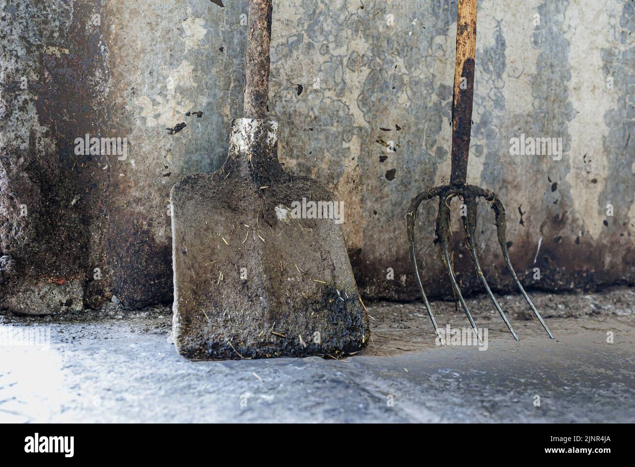 Shovel pitchfork shovel pitchfork feature symbolfoto symbolbil hires