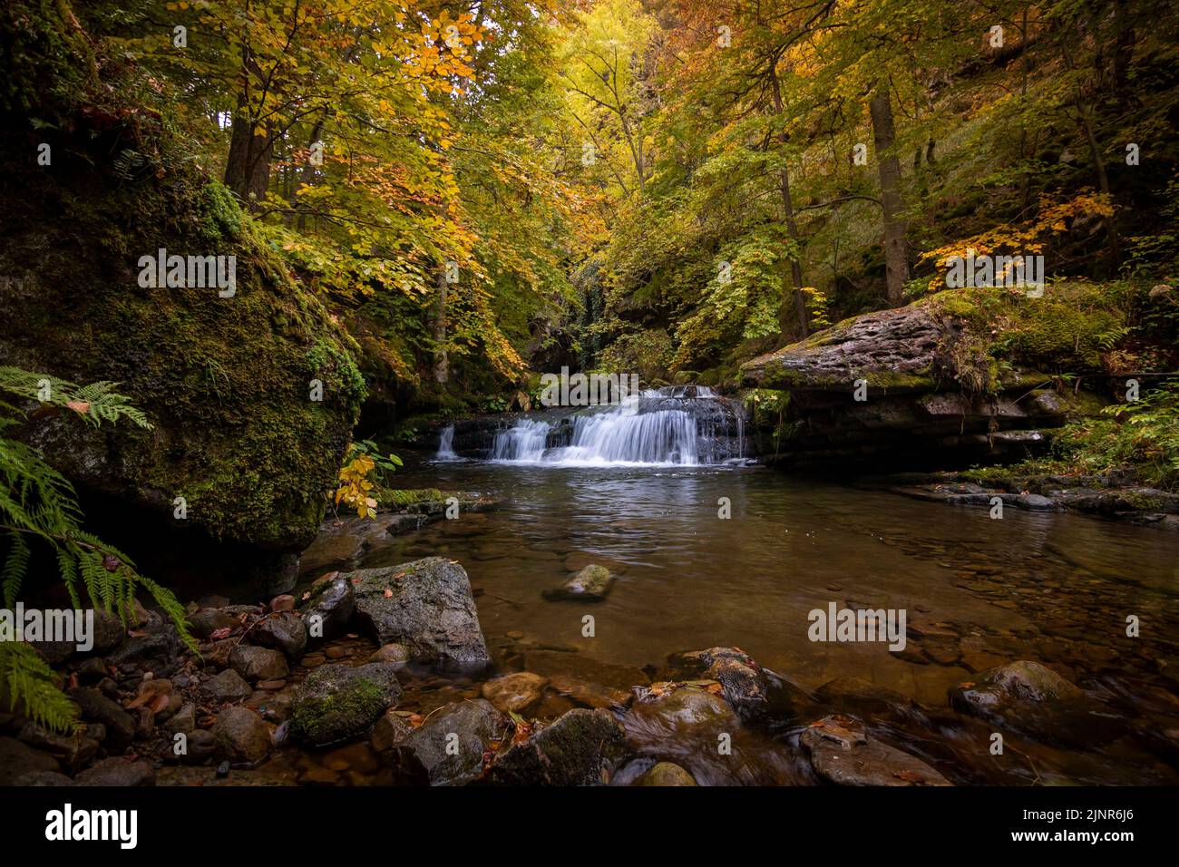 Scenic landscape in deciduous forest and waterfall in Sierra Cebollera