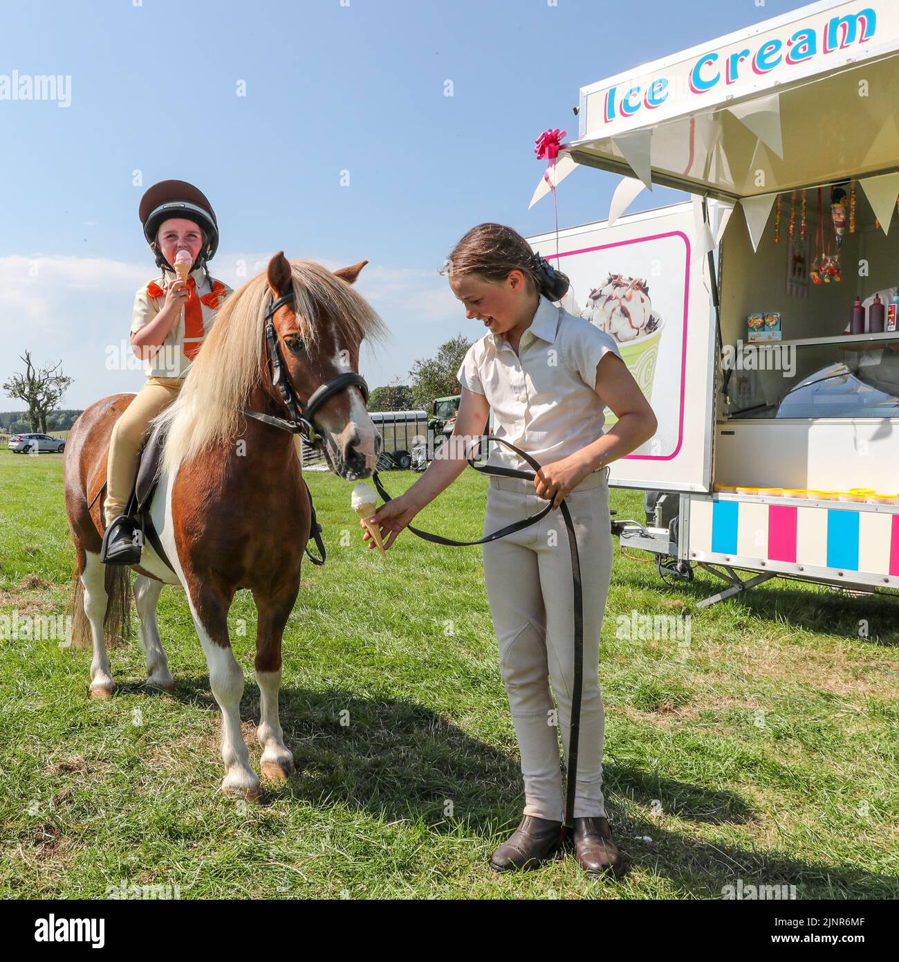 13 August 2022, Craigie, UK. After a tiring and thirsty apprearance at Craigie Country Fair, Micheal, a 12 year old Shetland Pony and his rider Jessica Edgar, aged 5,are rewarded with an ice cream to cool down. Michael's owner Alba Morgan, aged 9, is offering the ice cream to Michael. (Stephanie Edgar, mother is present). Credit: Findlay/ Alamy Live News. Stock Photo