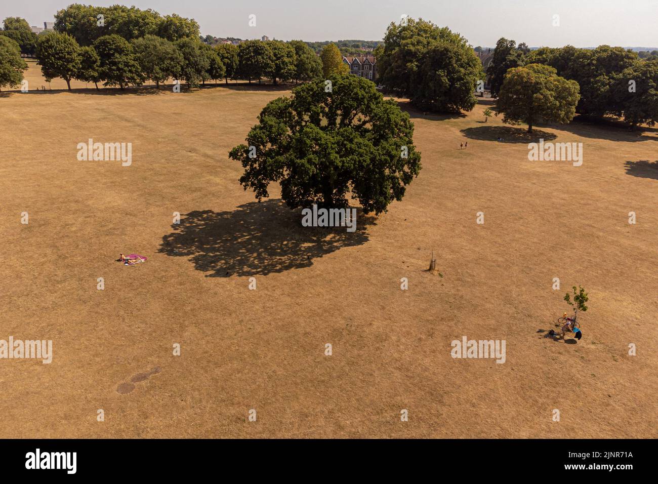 Dry grass in Eastville Park, Bristol. The Met Office has issued an amber warning for extreme heat covering four days from Thursday to Sunday for parts of England and Wales. Picture date: Saturday August 13, 2022. Stock Photo
