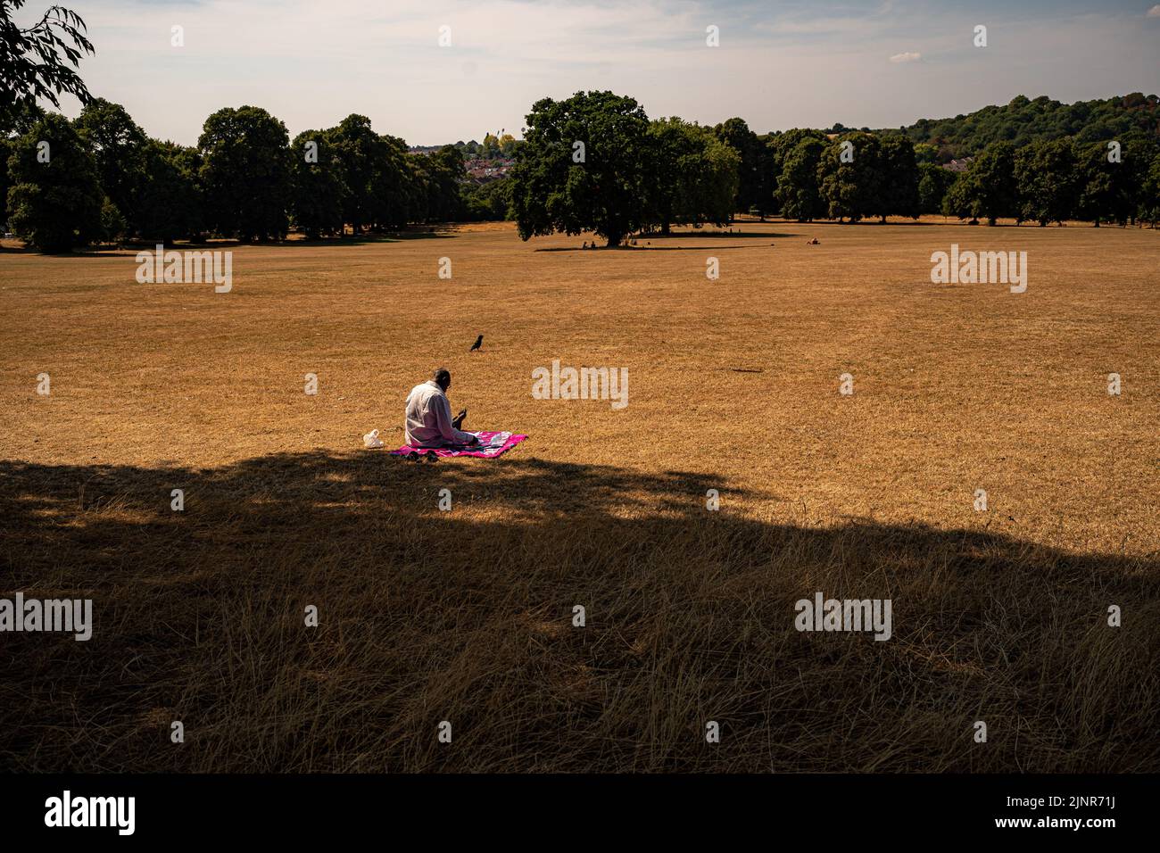 People sunbathe on parched grass Eastville Park, Bristol. The Met Office has issued an amber warning for extreme heat covering four days from Thursday to Sunday for parts of England and Wales. Picture date: Saturday August 13, 2022. Stock Photo