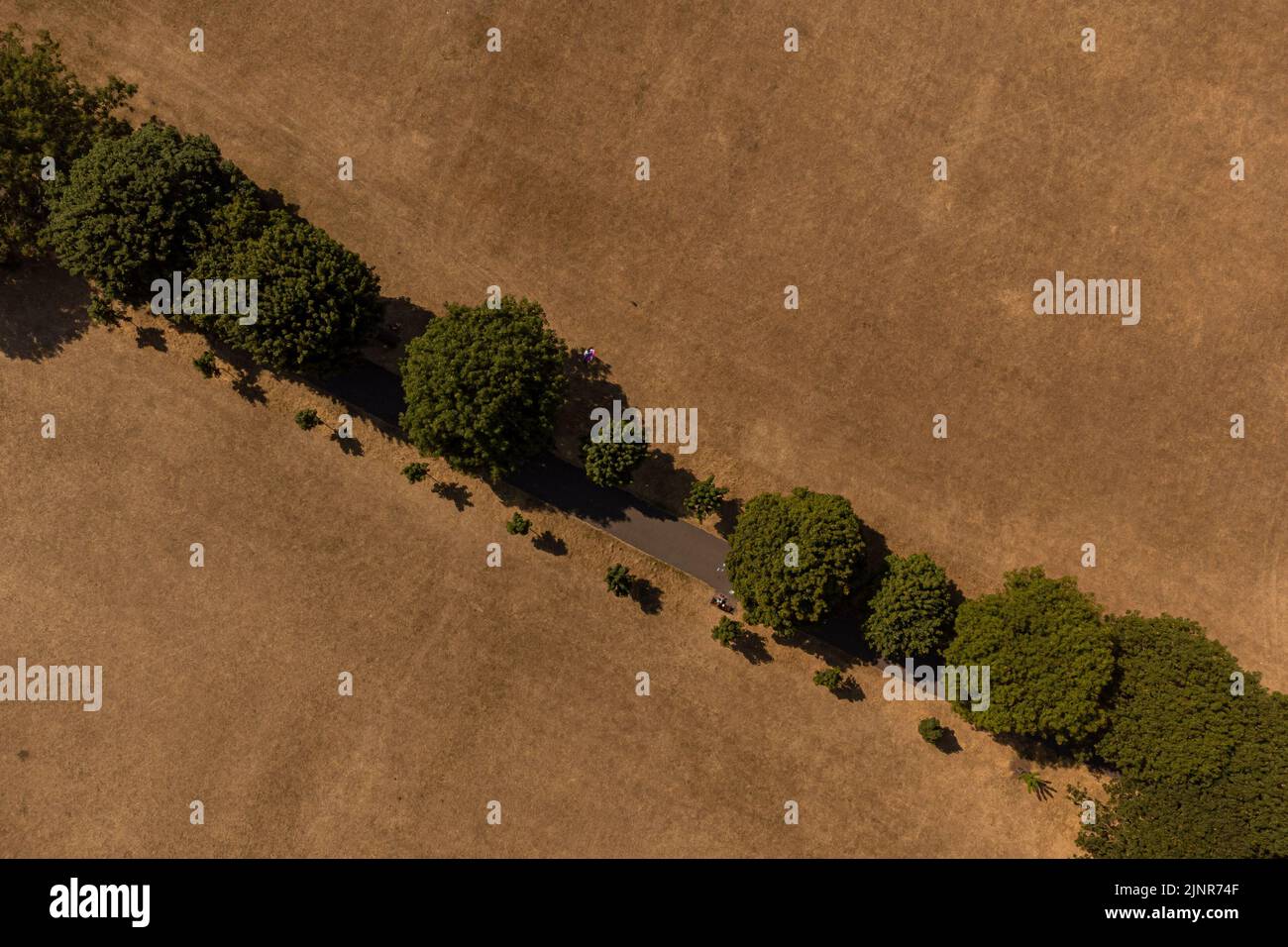 Dry grass is seen from above at Eastville Park, Bristol. The Met Office has issued an amber warning for extreme heat covering four days from Thursday to Sunday for parts of England and Wales. Picture date: Saturday August 13, 2022. Stock Photo