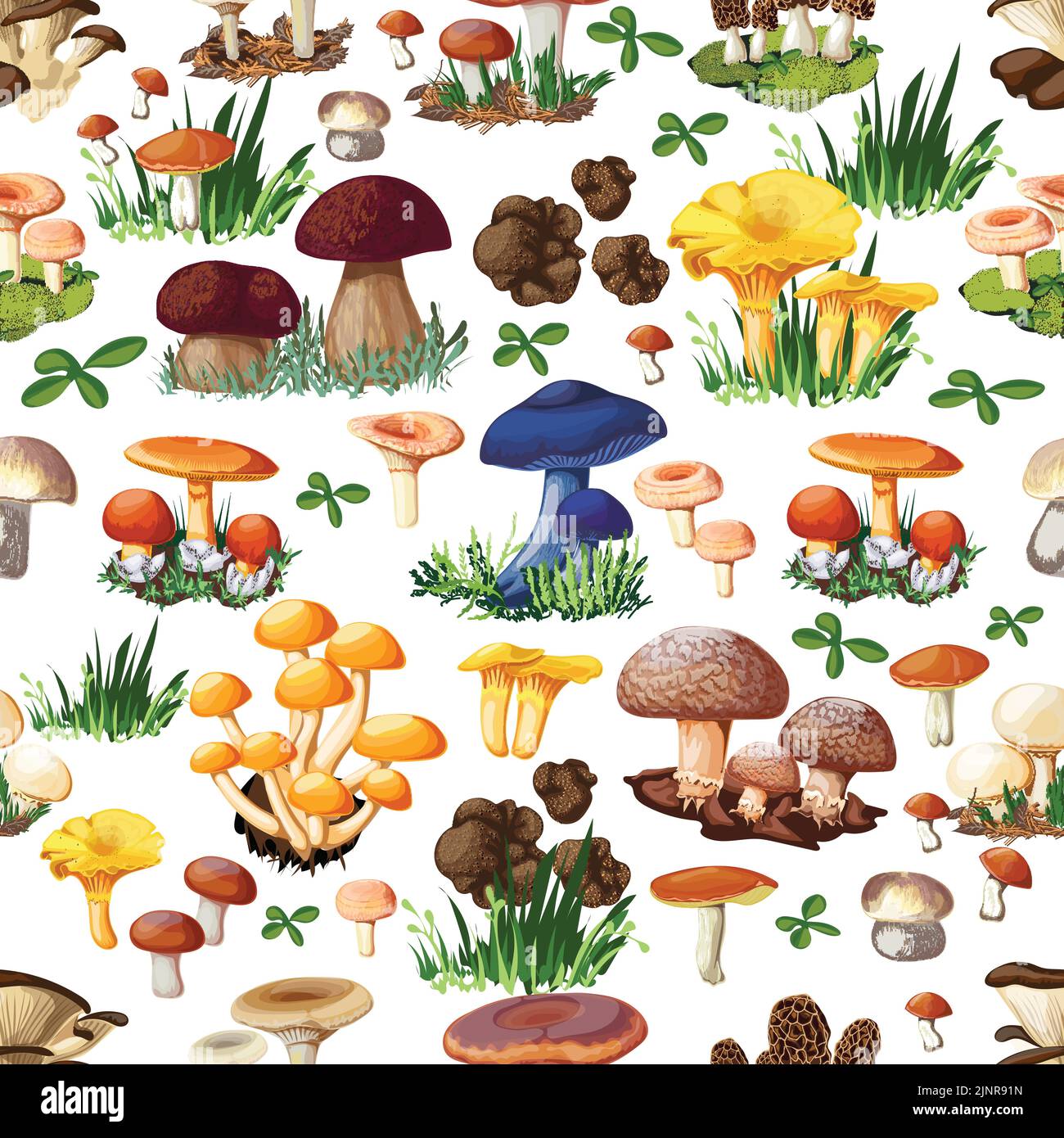 Mushroom seamless pattern with forest wild species so as suillus