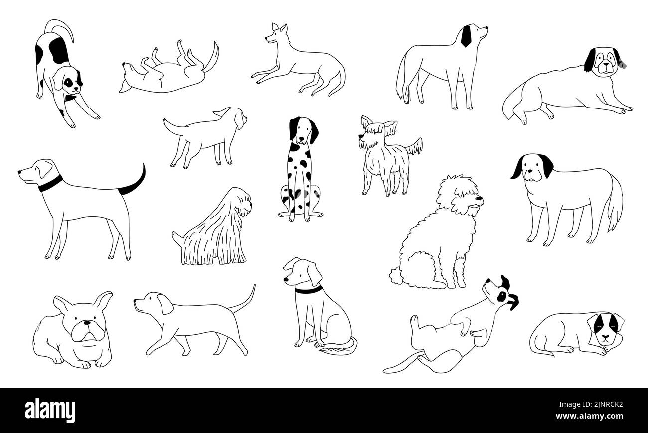 Cute doodle dog. Line black and white funny puppies, hand drawn pencil illustration, cartoon smiley pets walking sitting and playing. Vector set Stock Vector