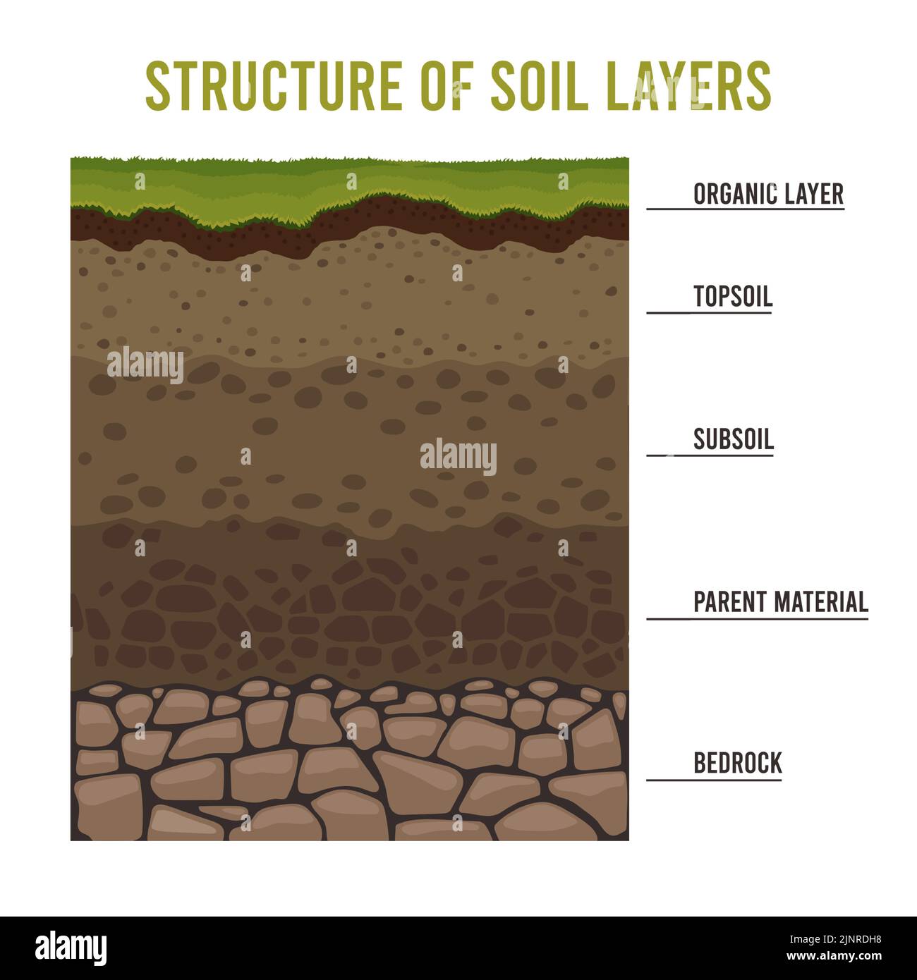 Soil layers. Cartoon geology ground structure with sand subsoil rocks and dirt, underground ancient layering diagram. Vector for fertile soil to Stock Vector