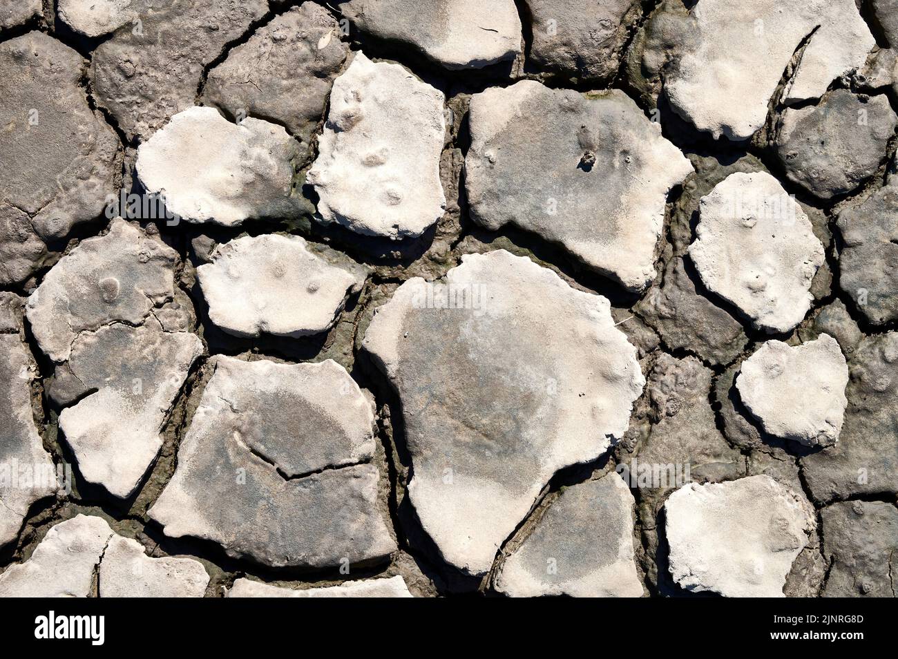 Dried up water channel on river estuary Stock Photo