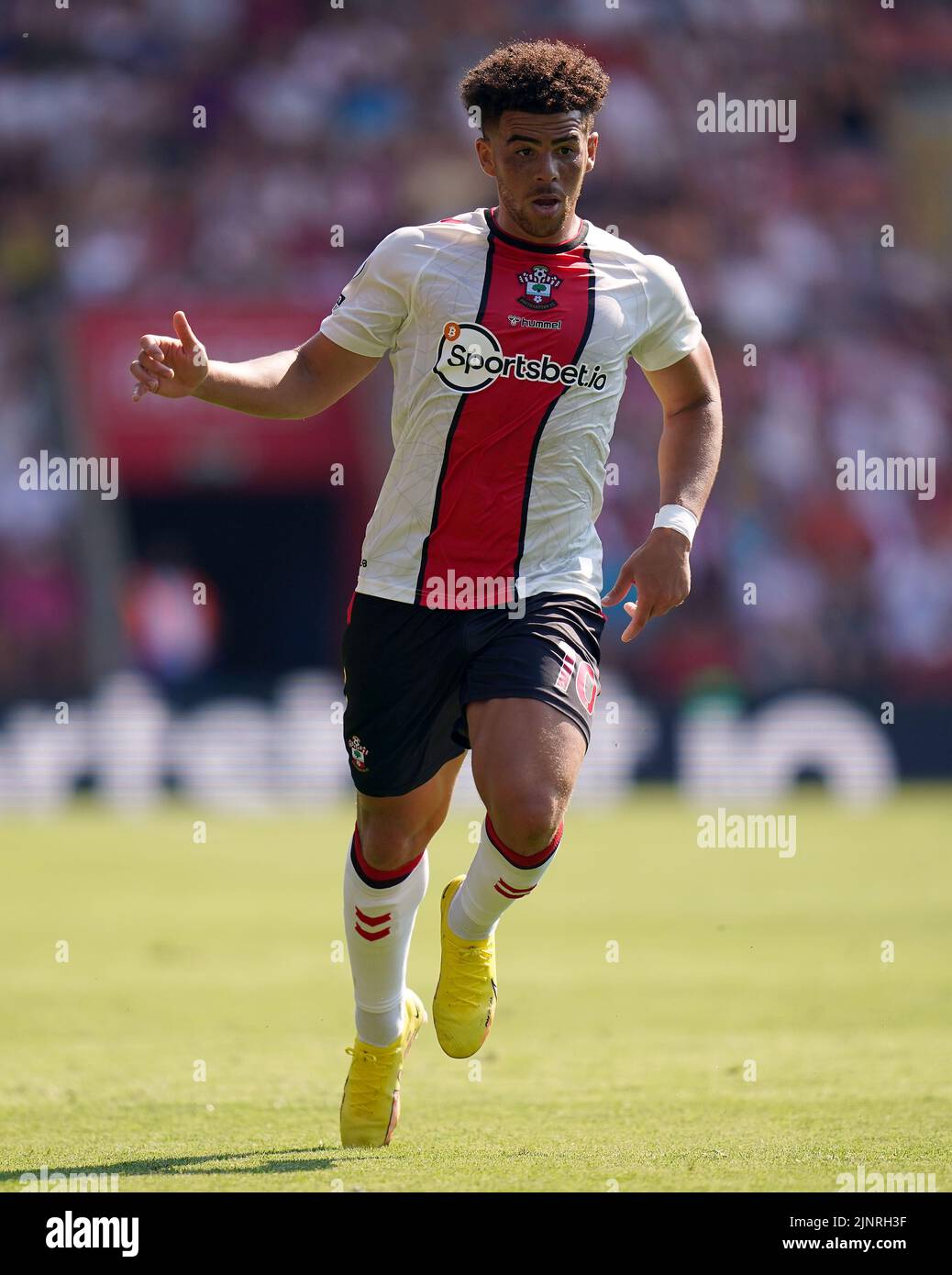 Southampton's Che Adams during the Premier League match at St. Mary's