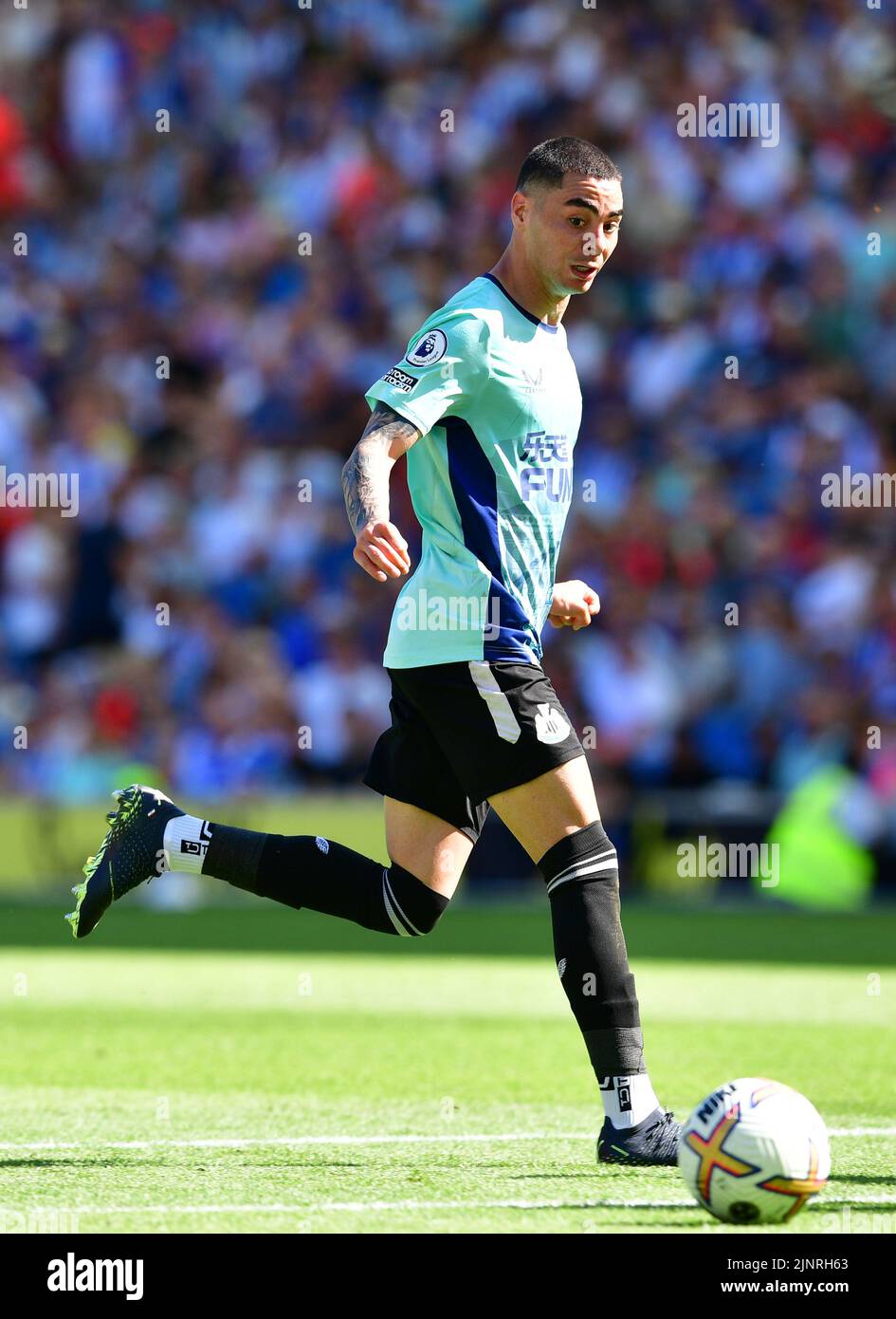 Brighton, UK. 13th Aug, 2022. Miguel Almiron of Newcastle United during the Premier League match between Brighton & Hove Albion and Newcastle United at The Amex on August 13th 2022 in Brighton, England. (Photo by Jeff Mood/phcimages.com) Credit: PHC Images/Alamy Live News Stock Photo