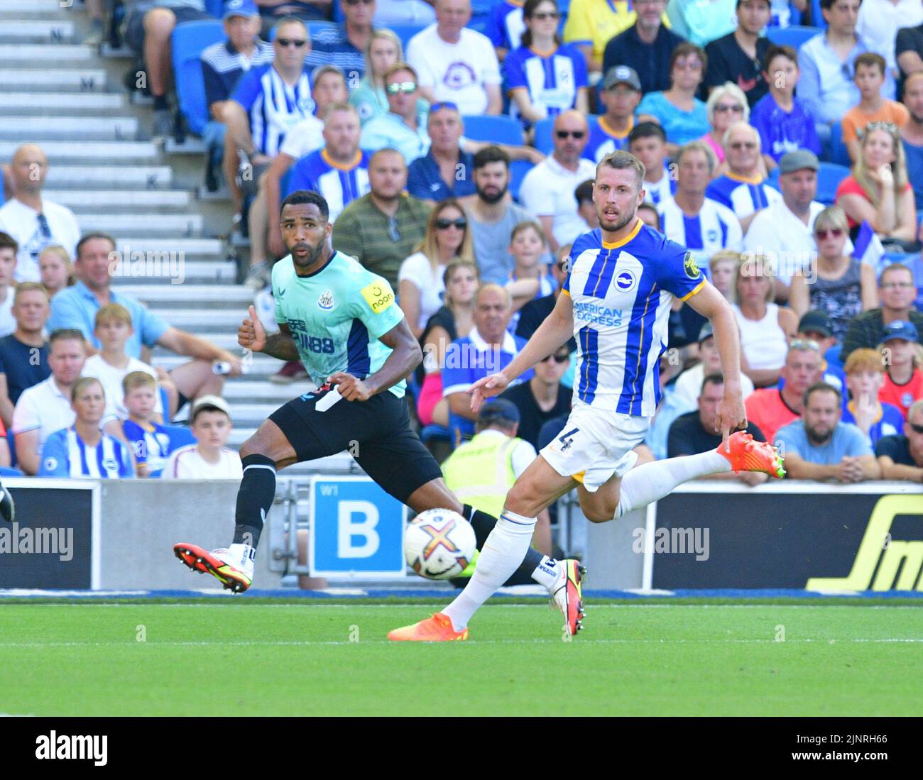 Brighton, UK. 13th Aug, 2022. Callum Wilson of Newcastle United and Adam Webster of Brighton and Hove Albion during the Premier League match between Brighton & Hove Albion and Newcastle United at The Amex on August 13th 2022 in Brighton, England. (Photo by Jeff Mood/phcimages.com) Credit: PHC Images/Alamy Live News Stock Photo
