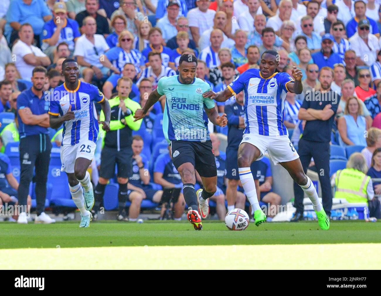 Brighton, UK. 13th Aug, 2022. Callum Wilson of Newcastle United and Enock Mwepu of Brighton and Hove Albion during the Premier League match between Brighton & Hove Albion and Newcastle United at The Amex on August 13th 2022 in Brighton, England. (Photo by Jeff Mood/phcimages.com) Credit: PHC Images/Alamy Live News Stock Photo