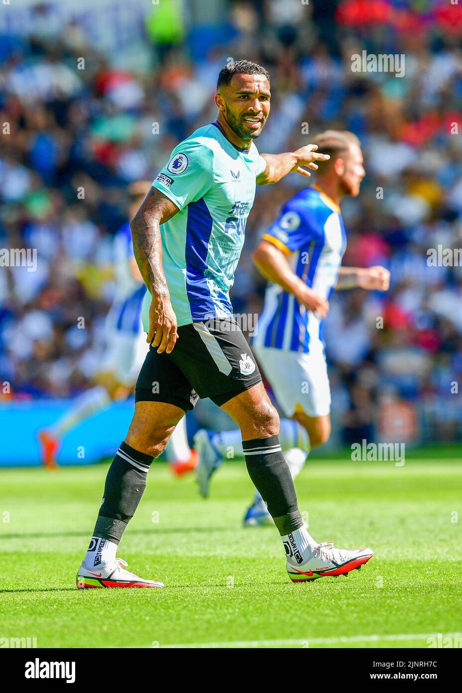 Brighton, UK. 13th Aug, 2022. Callum Wilson of Newcastle United gives directions to his team mates during the Premier League match between Brighton & Hove Albion and Newcastle United at The Amex on August 13th 2022 in Brighton, England. (Photo by Jeff Mood/phcimages.com) Credit: PHC Images/Alamy Live News Stock Photo