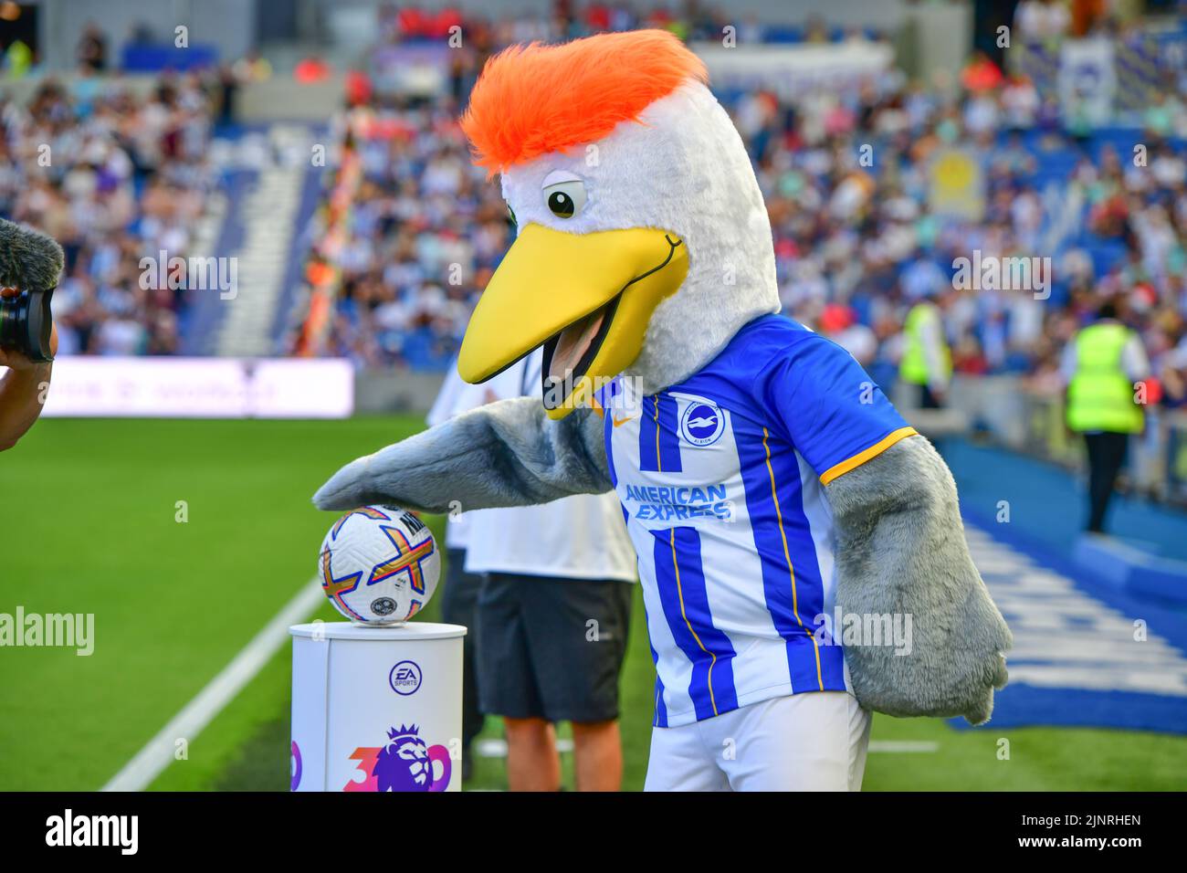 Brighton, UK. 13th Aug, 2022. Brighton mascot Gully with the match ball before the Premier League match between Brighton & Hove Albion and Newcastle United at The Amex on August 13th 2022 in Brighton, England. (Photo by Jeff Mood/phcimages.com) Credit: PHC Images/Alamy Live News Stock Photo