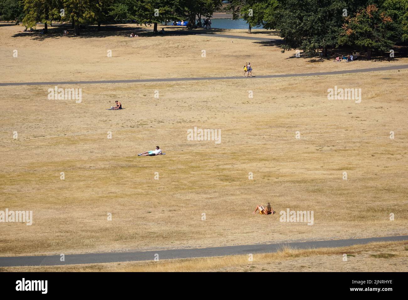 London, UK. 13th Aug, 2022. UK Weather: Parched grass in Greenwich park in London. Credit: Marcin Rogozinski/Alamy Live News Stock Photo