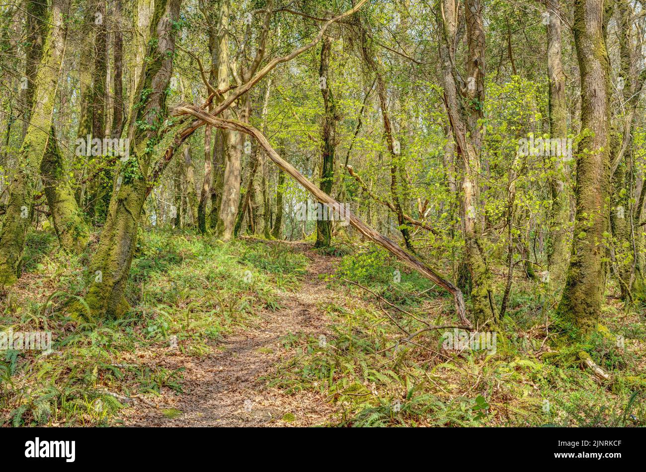 Clean Or Rough Path Rough path hi-res stock photography and images - Alamy