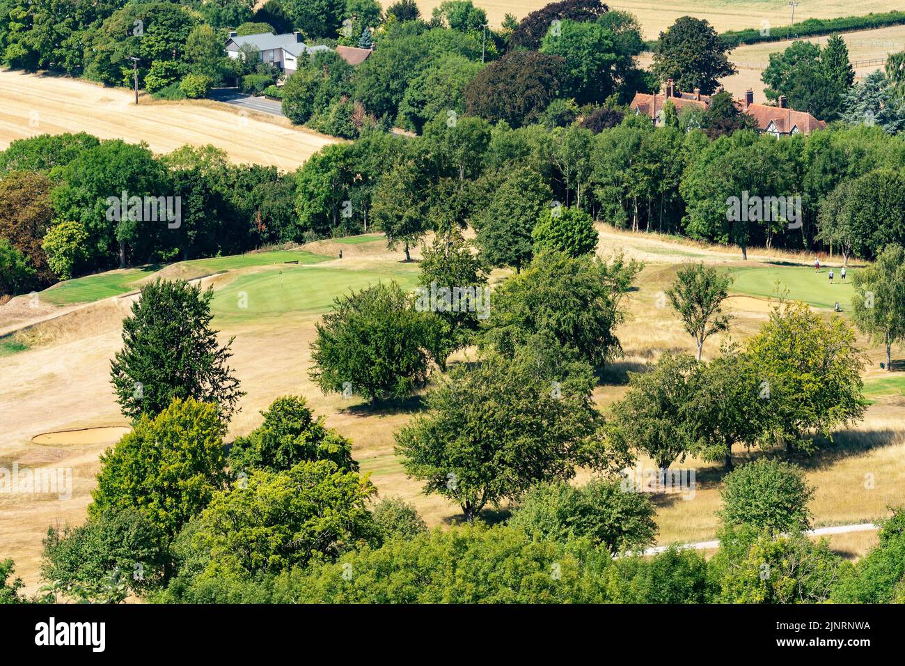 Butlers Cross, Buckinghamshire, UK. 13th August, 2022. Ellesborough Golf Club, elevated view showing well watered and mown greens standing out against parched grass elsewhere. Golfers on the right side braving the extreme heat to play golf. Credit: Stephen Bell/Alamy Live News Stock Photo