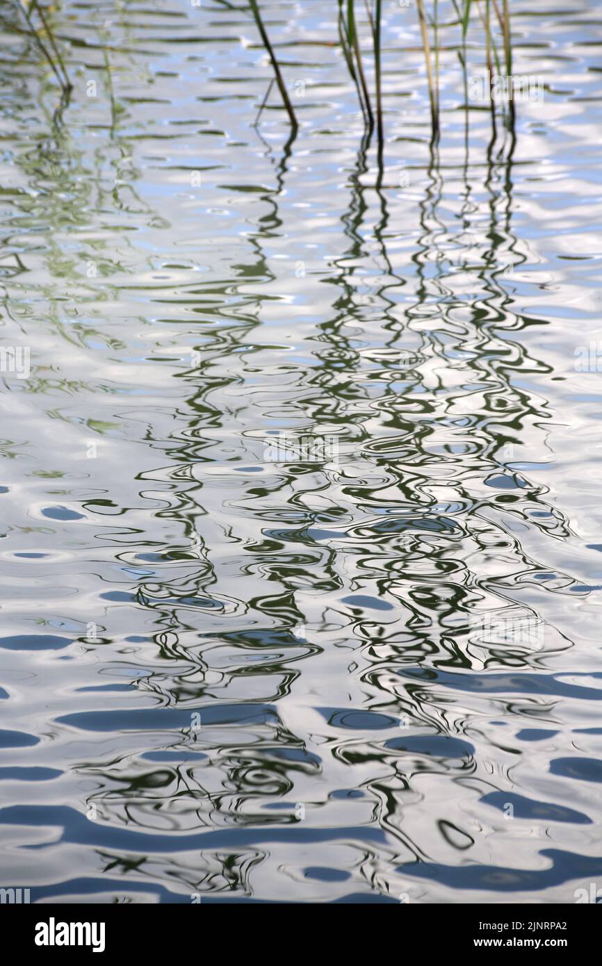 Les étangs de Corot. Ville d'Avray. Haut-de-Seine. Ile-de-France. France. Europe. Stock Photo