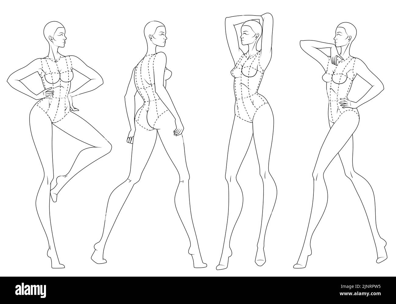 Mannequin Drawing Images – Browse 2,143,345 Stock Photos, Vectors, and  Video | Adobe Stock