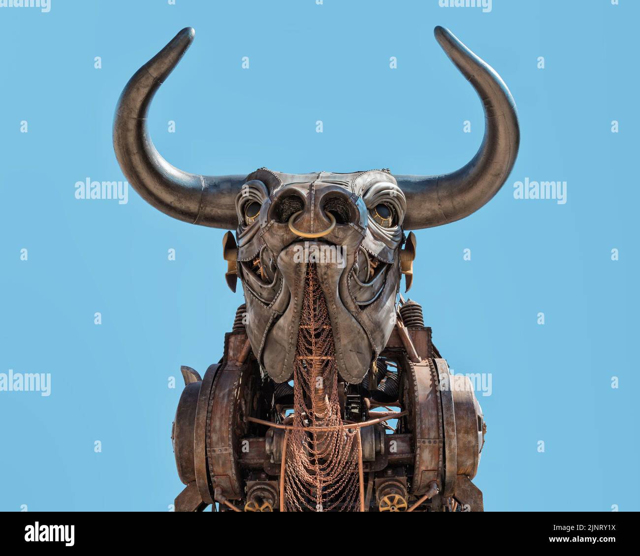 Detail of the 10 metre high raging bull from the 2022 Commonwealth Games opening ceremony, now a tourist attraction. Isolated against a blue sky. Stock Photo