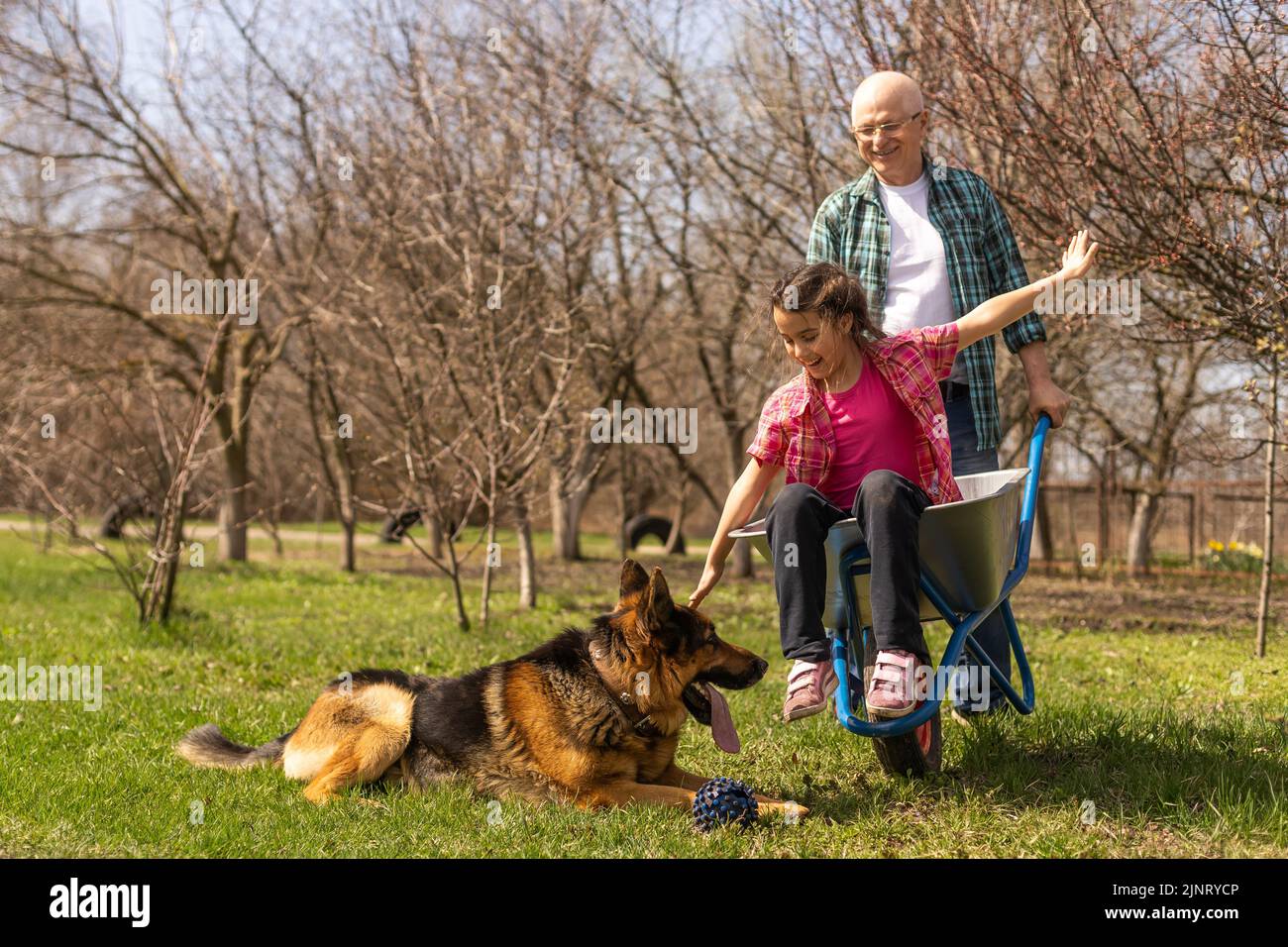 Grandfather giving granddaughter ride in wheelbarrow in the garden Stock Photo