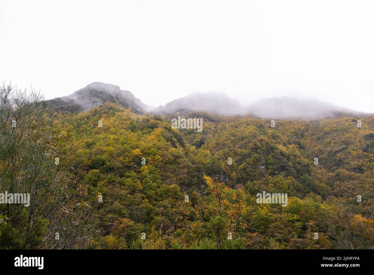 Native forest mass in the mountains of Serra do Courel, Galicia, Spain. Autumn landscape Stock Photo