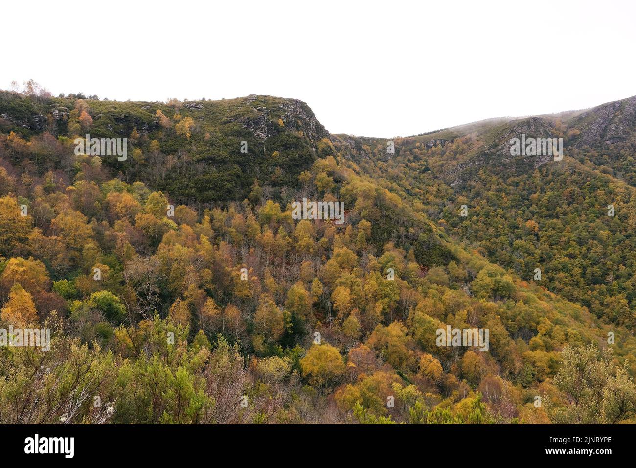 Autumnal native forest in the mountains of Serra do Courel, Galicia, Spain. Stock Photo