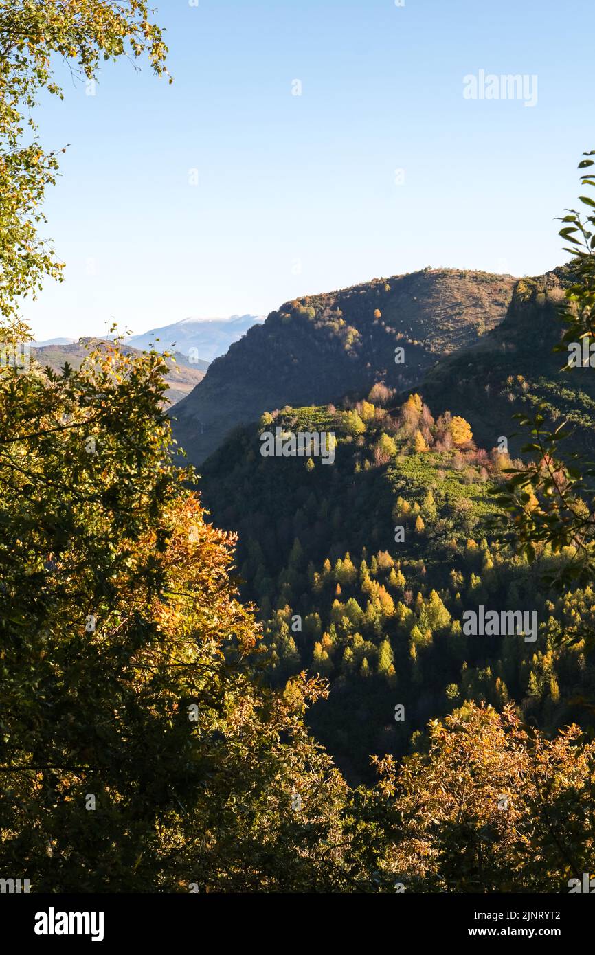 Autumn colours in the mountains of Serra do Courel, Galicia, Spain Stock Photo