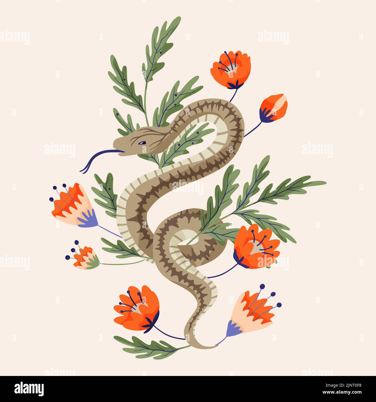 Snake illustrations vector design alchemy rose flower. Python vintage ...
