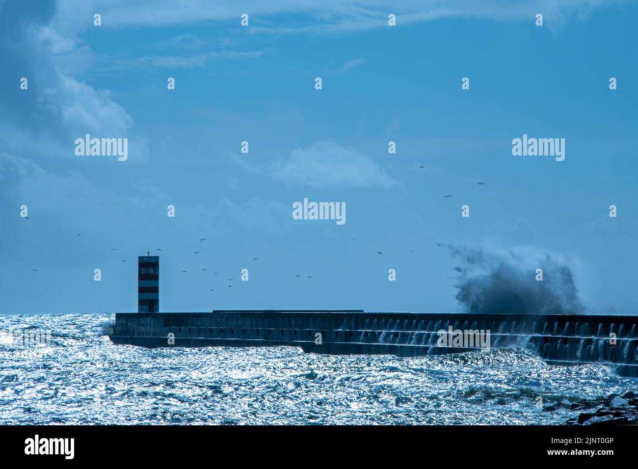 Scenic of an port at the Atlantic ocean with huge waves Stock Photo - Alamy