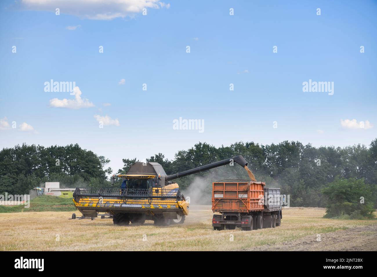 Combine harvester emptying harvested wheat grain into truck. Dnipro region, Ukraine - 8 Aug 2022 Stock Photo