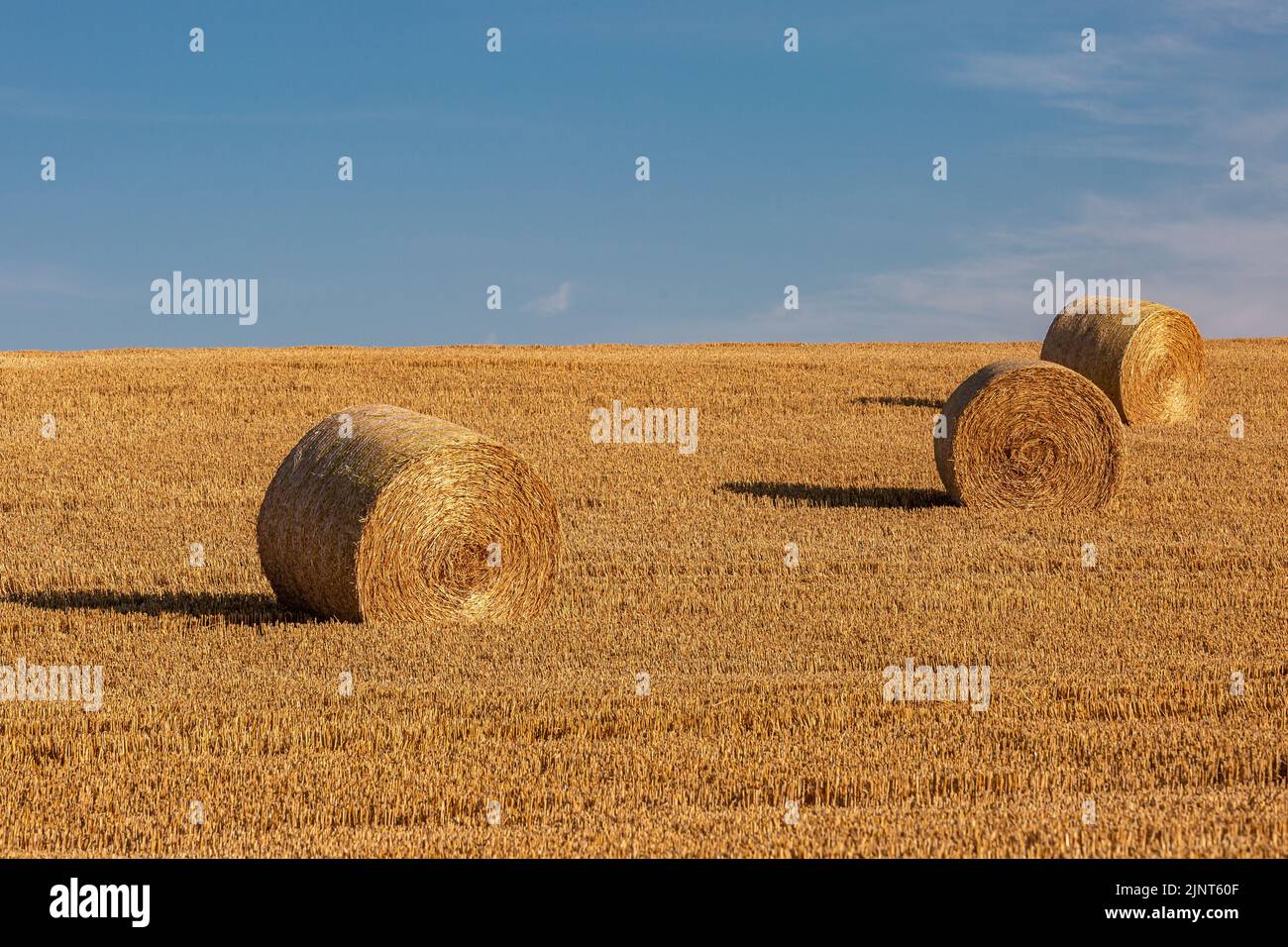 Hay bales beneath a blue sky Stock Photo - Alamy
