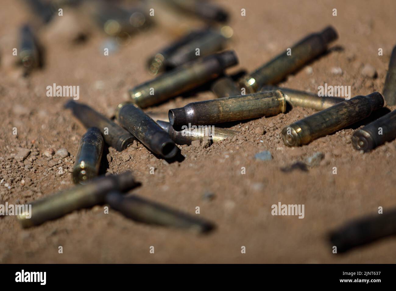 Spent 5.56 mm casings lie on the ground after Marines with Echo Company, 2nd Battalion, 1st Marine Regiment, 1st Marine Division, conduct the course of fire at Range 800 at Marine Corps Base Camp Pendleton, California, Aug. 10, 2022. Range 800 is capable of hosting platoon attacks supported by rockets and machine guns, allowing 1st MARDIV units to conduct this type of training without traveling to another installation. (U.S. Marine Corps photo by Cpl. Skyler M. Harris) Stock Photo