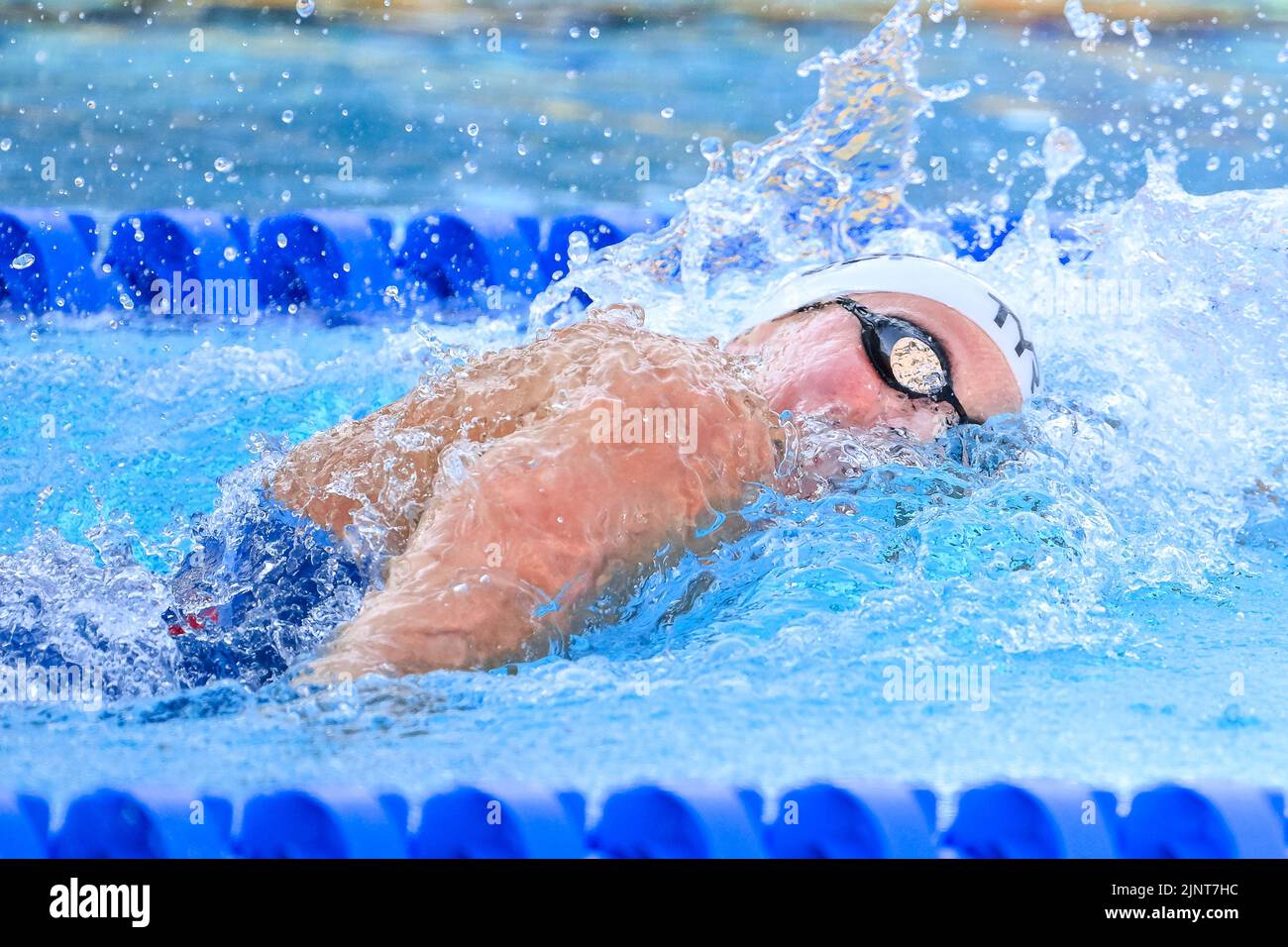 Bonnet charlotte hi-res stock photography and images - Alamy