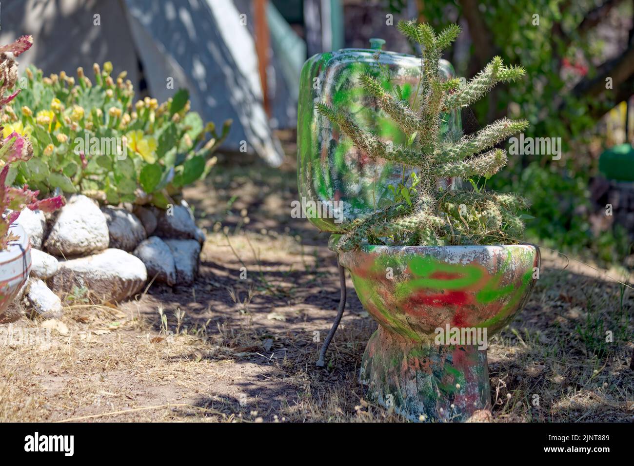 Flower pot from toilet seat for upcycling purpose. Creative gardening, decoration ideas. Stock Photo