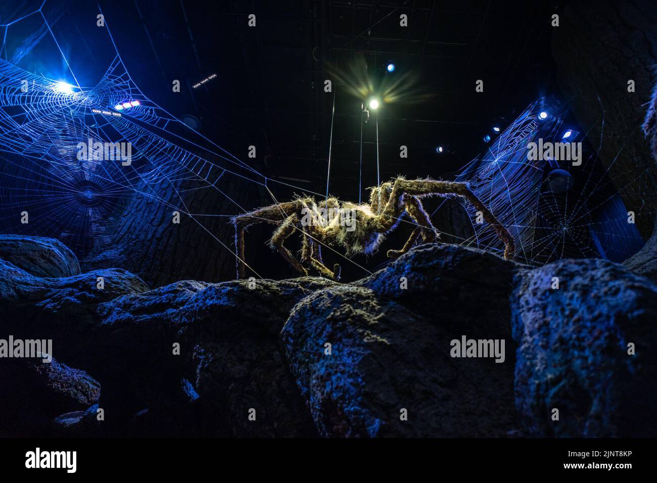 London, UK - 10 June 2022: Aragog, the giant spider in the Forbidden Forest hiding in the dark; Harry Potter Studio, London Stock Photo