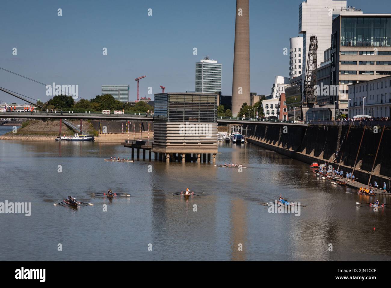 Düsseldorf, NRW, Germany, 13th Aug 2022. A charity rowing race for people with cancer seems to encounter fewer problems in the media harbour area of the city, but even here water levels are much lower. The River Rhine, one of the busiest inland waterways in the world, has been strongly affected by the ongoing drought and resulting low water levels, caused by prolonged heat of up to 40 degrees and very little rain in the last few weeks. The shipping lane has narrowed down considerably, slowing down traffic, most vessels have also had to considerably reduce their freight weight, leading to suppl Stock Photo