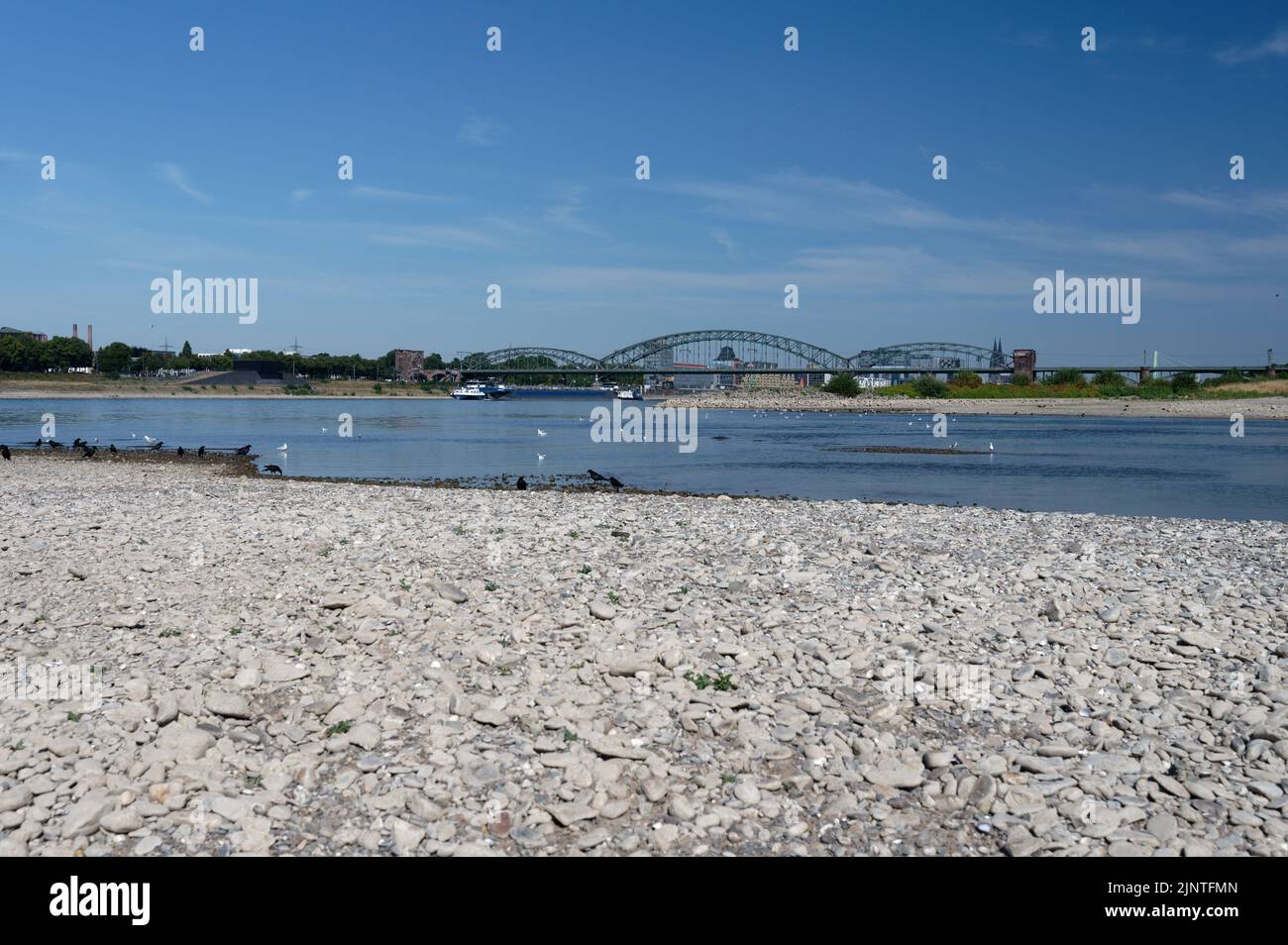 cologne, germany, august 10, 2022: falling water level with drained river bed on the rhine near cologne Stock Photo