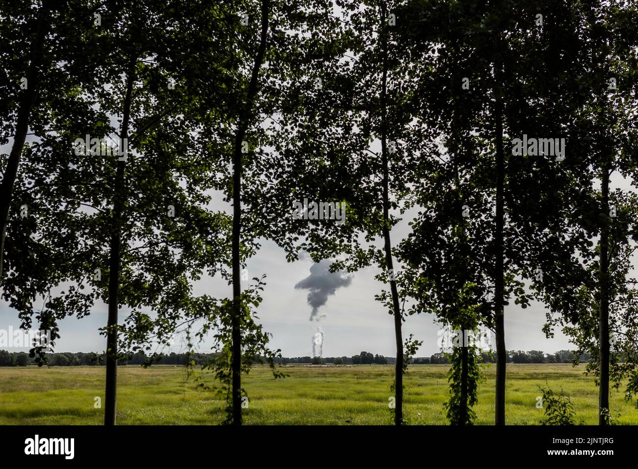 The Jaenschwalde coal-fired power plant is visible behind trees in Dissen-Striesow, July 28, 2022. According to the federal government's timetable for phasing out coal, the last block of the power plant is to be shut down by the end of 2028. In addition to Boxberg and Schwarze Pumpe, Jaenschwalde is one of three power plants in Lusatia whose economic infrastructure is largely dependent on coal production. Stock Photo