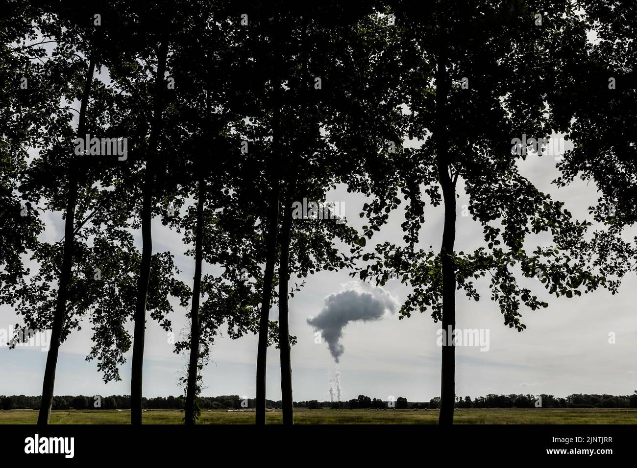 The Jaenschwalde coal-fired power plant is visible behind trees in Dissen-Striesow, July 28, 2022. According to the federal government's timetable for phasing out coal, the last block of the power plant is to be shut down by the end of 2028. In addition to Boxberg and Schwarze Pumpe, Jaenschwalde is one of three power plants in Lusatia whose economic infrastructure is largely dependent on coal production. Stock Photo