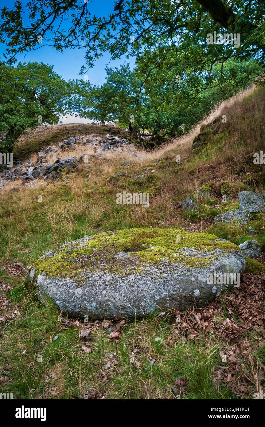 Abandoned handmade millstone lying on the ground at Dobb Edge Quarry