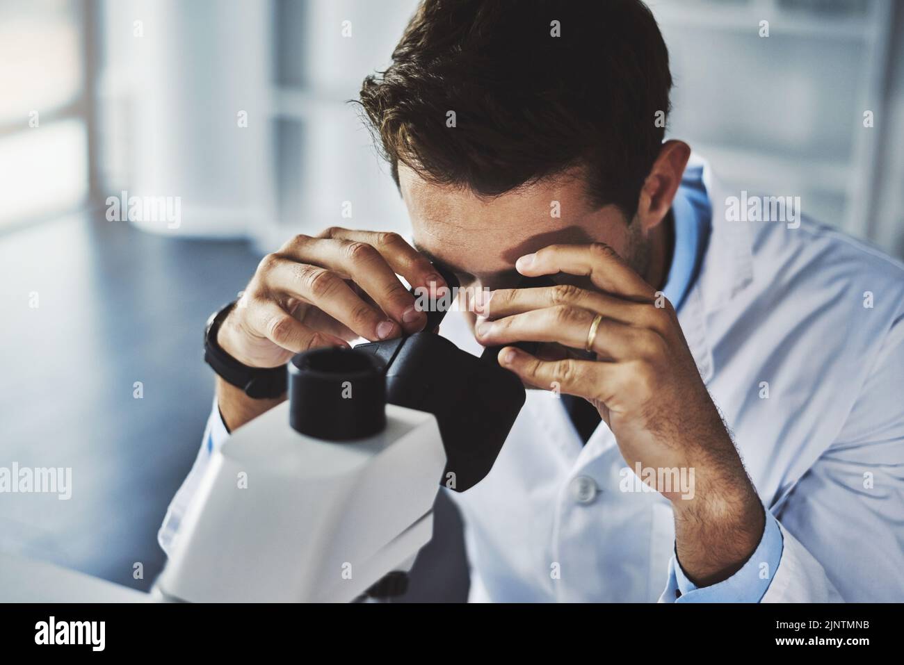 You have to look closely to see the bigger picture. a scientist using a microscope in a lab. Stock Photo