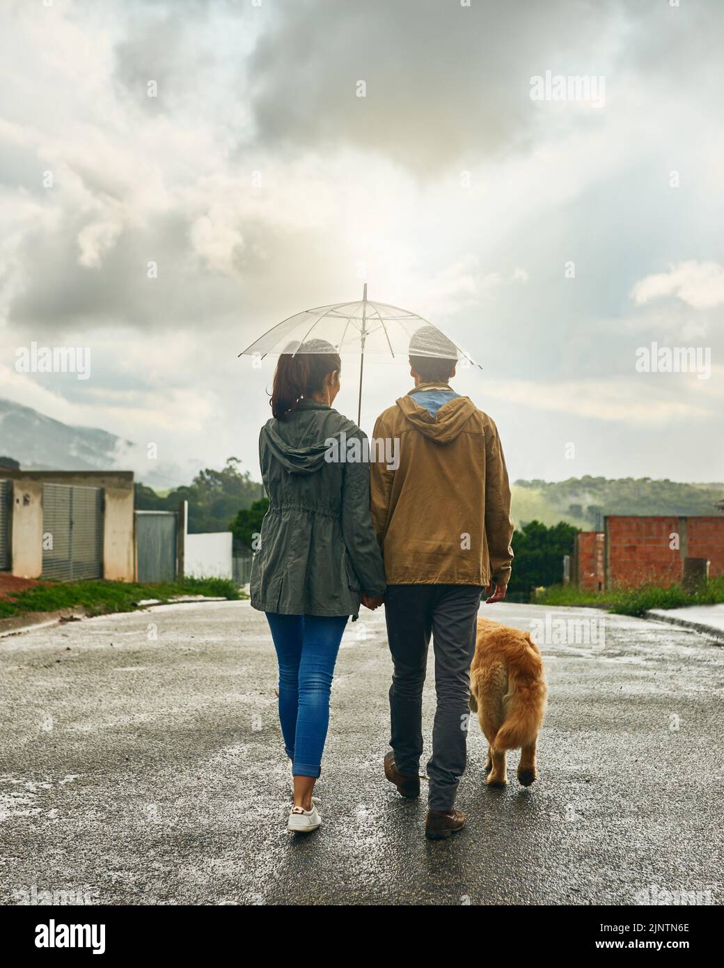 When life give you a rainy day, overcome it together. Rearview shot of a couple walking with their dog. Stock Photo