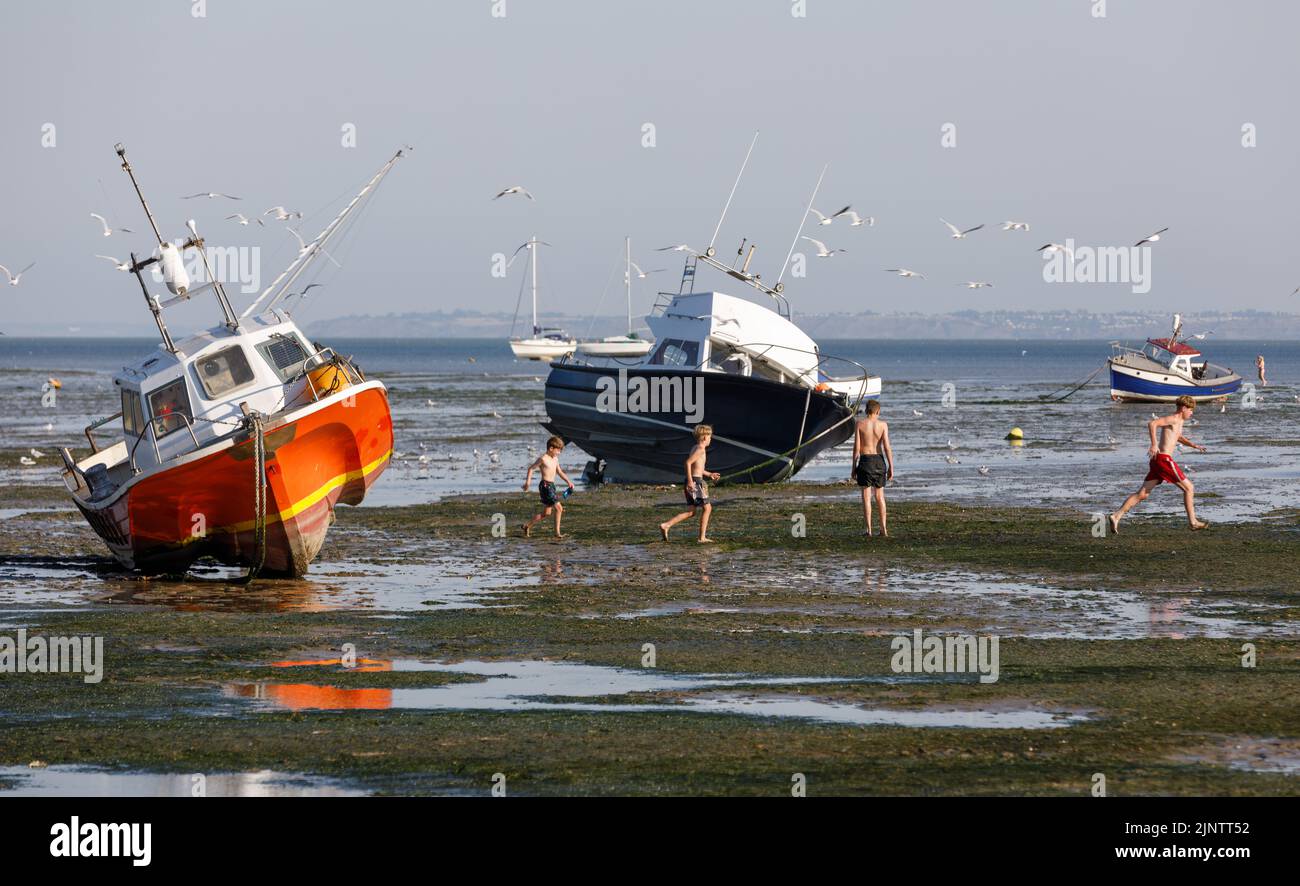 Four boys walk and play near two fishing boats on the mud flats and seaweed on the River Thames at low tide in the summer heatwave Stock Photo