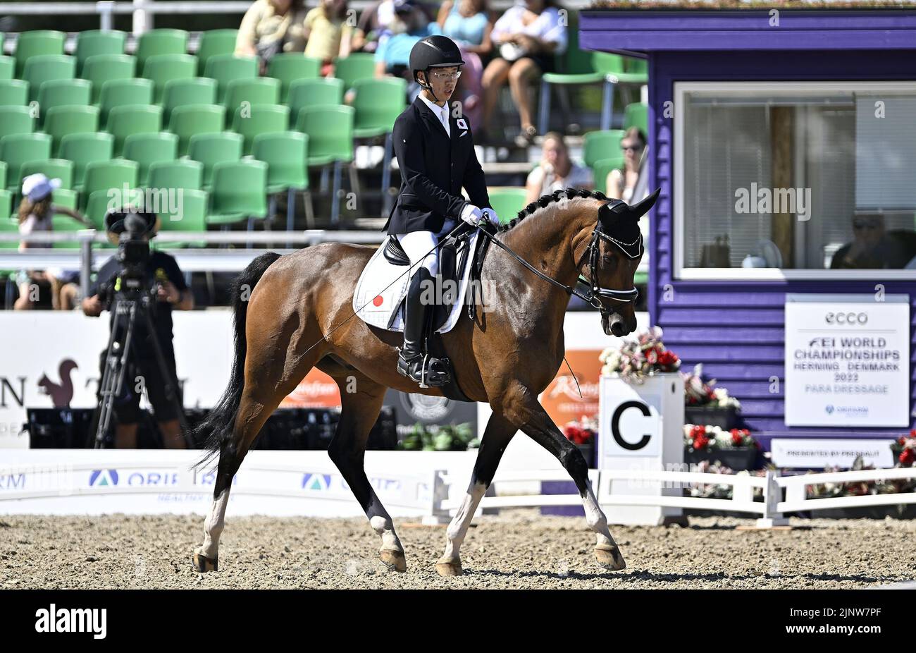 Herning. Denmark. 13 August 2022. World Equestrian Games.Sho Inaba (JPN) riding EXCLUSIVE during the FEI Para Dressage Team championships - Grade III. Stock Photo