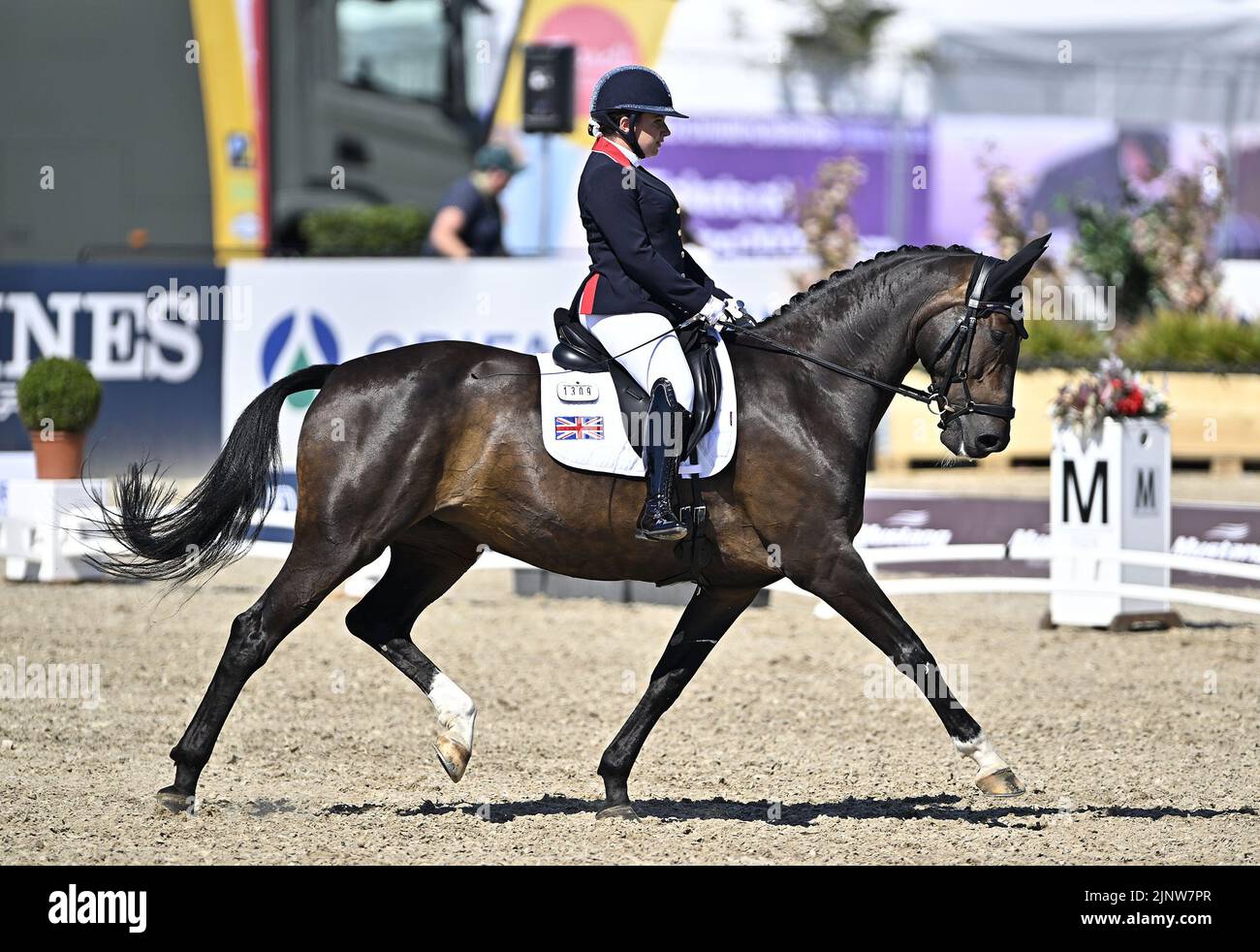 Herning. Denmark. 13 August 2022. World Equestrian Games.Natasha Baker (GBR) riding KEYSTONE DAWN CHORUS during the FEI Para Dressage Team championships - Grade III. Stock Photo