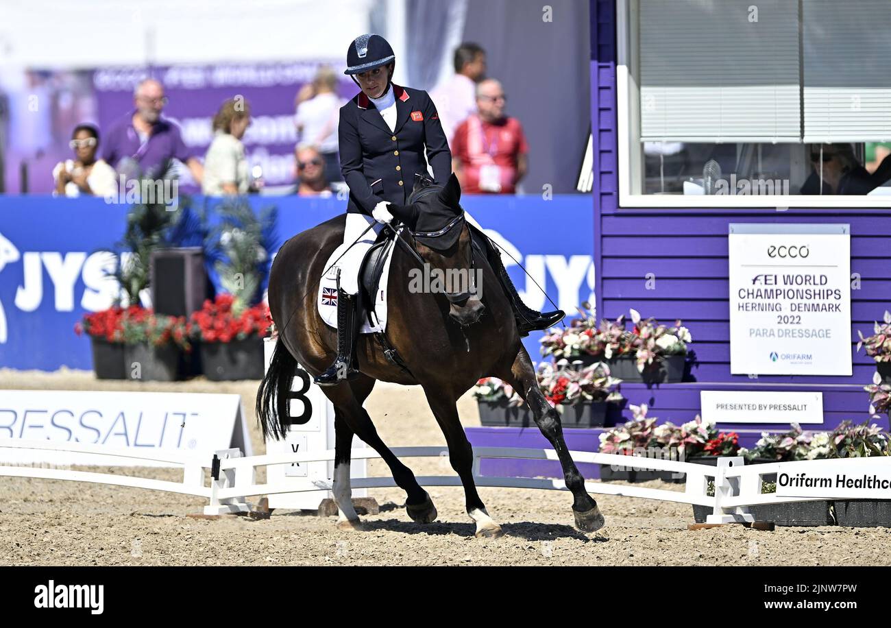 Herning. Denmark. 13 August 2022. World Equestrian Games.Natasha Baker (GBR) riding KEYSTONE DAWN CHORUS during the FEI Para Dressage Team championships - Grade III. Stock Photo