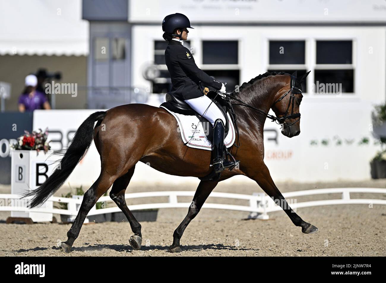 Herning. Denmark. 13 August 2022. World Equestrian Games.Federica Sileoni (ITA) riding BURBERRY during the FEI Para Dressage Team championships - Grade III. Stock Photo