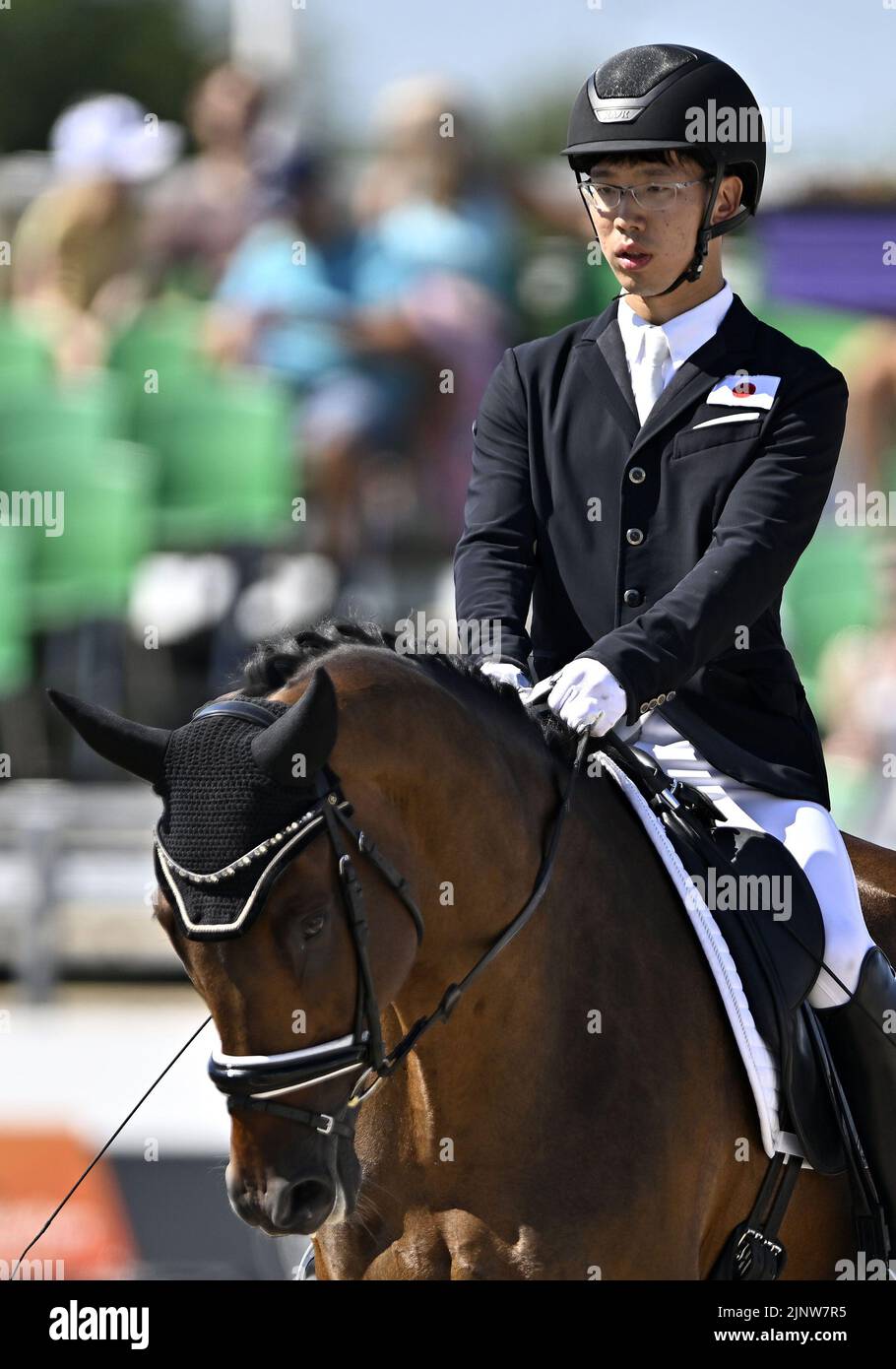 Herning, Denmark. 13th Aug, 2022. World Equestrian Games.Sho Inaba (JPN) riding EXCLUSIVE during the FEI Para Dressage Team championships - Grade III. Credit: Sport In Pictures/Alamy Live News Stock Photo