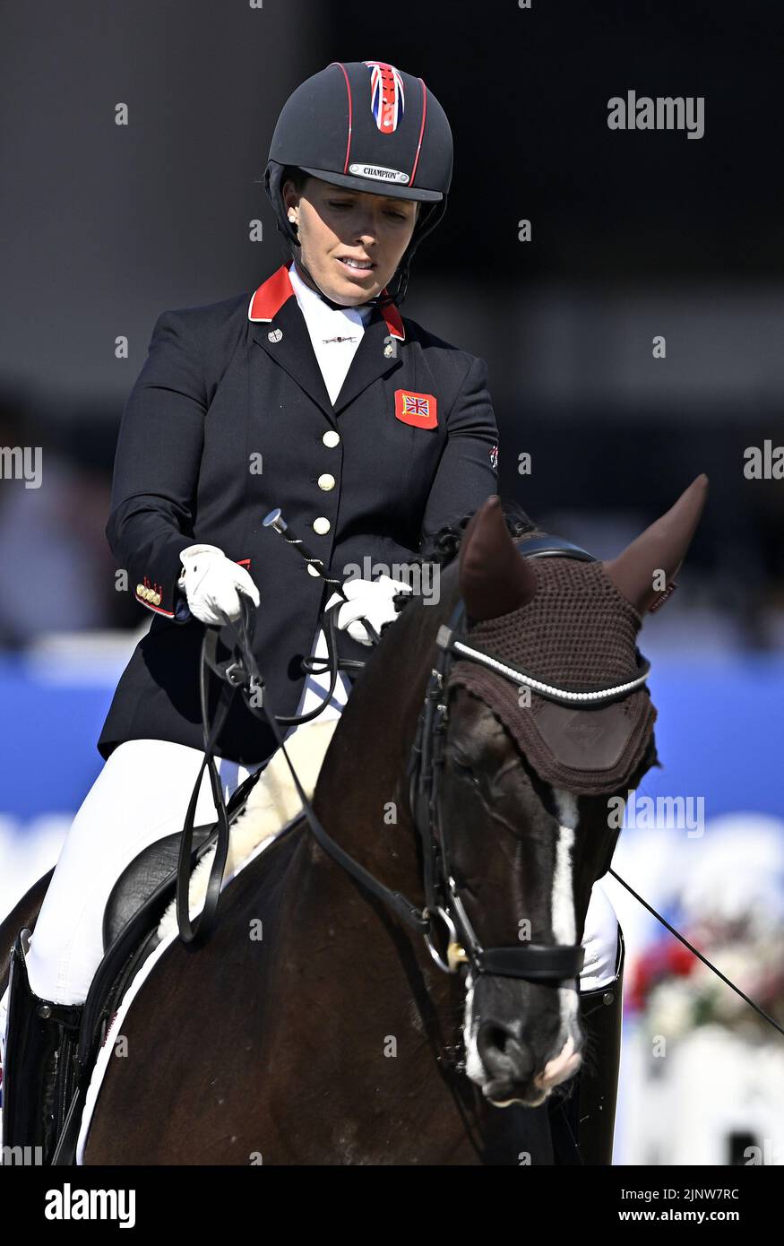 Herning. Denmark. 13 August 2022. World Equestrian Games.Sophie Wells (GBR) riding DON CARA M during the FEI Para Dressage Team championships - Grade III. Stock Photo